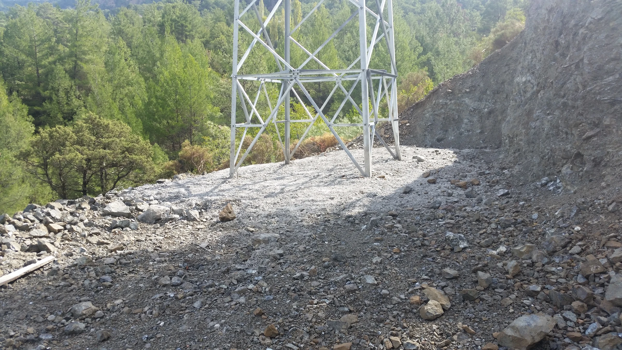 Ormanlık alandaki enerji direğinin alt gövdesi ve temel çevresi.